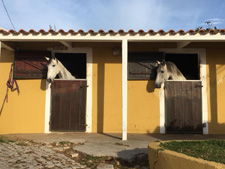 Portugal-Lisbon Area-Lusitano Riding Centre Alcainca Program B